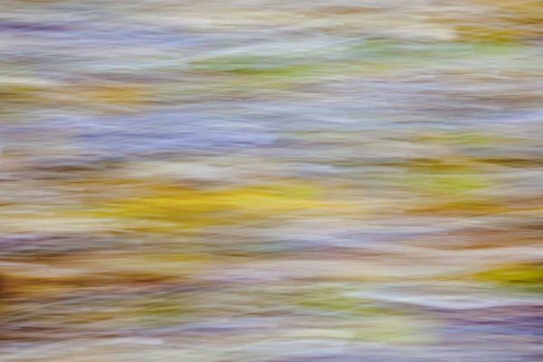 WA, Seabeck Motion blur of fall leaves on beach